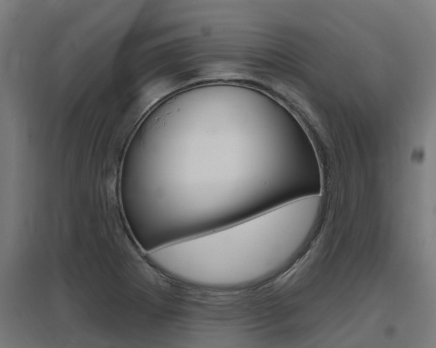 X0000097631273200802290835