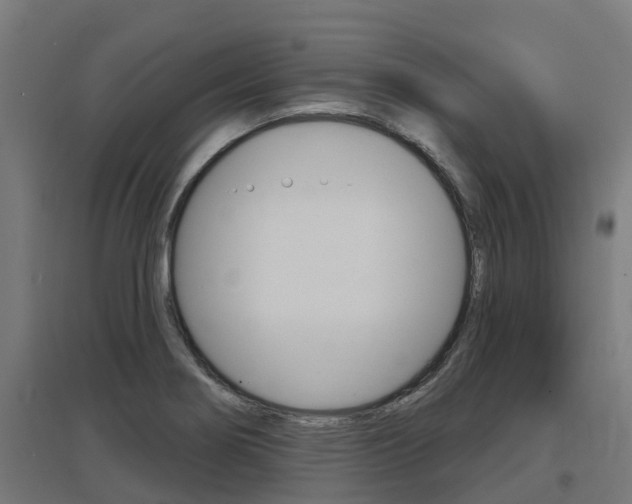 X0000097631274200802290835