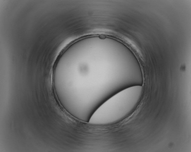 X0000097631275200802290835