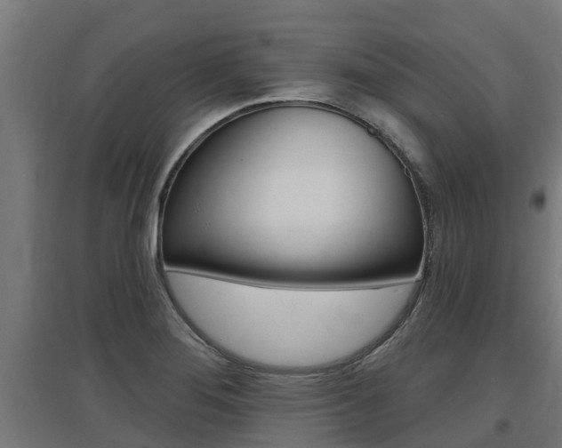 X0000097631276200802290835