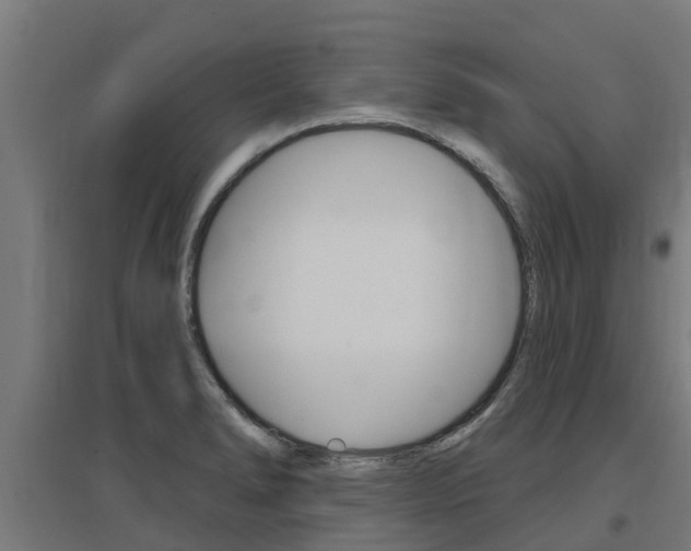 X0000097631278200802290835