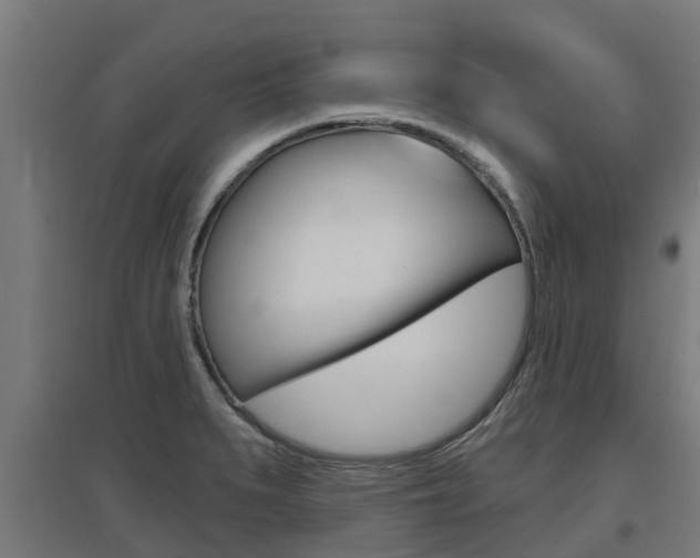 X0000097631279200802290835