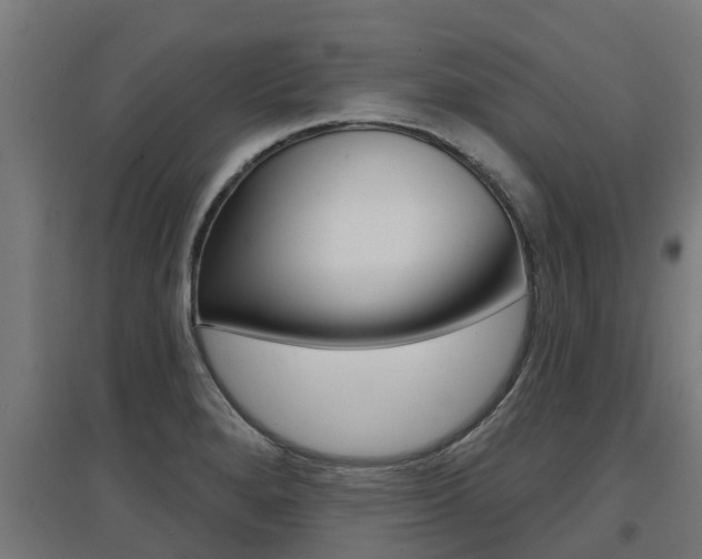X0000097631280200802290835