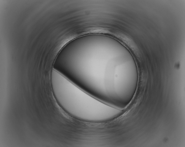 X0000097631281200802290835