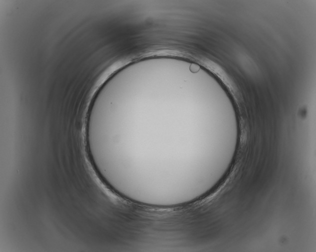 X0000097631282200802290835