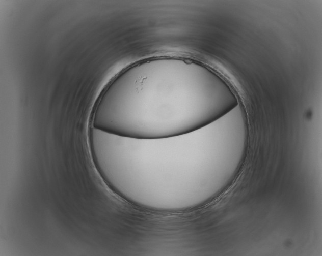X0000097631283200802290835