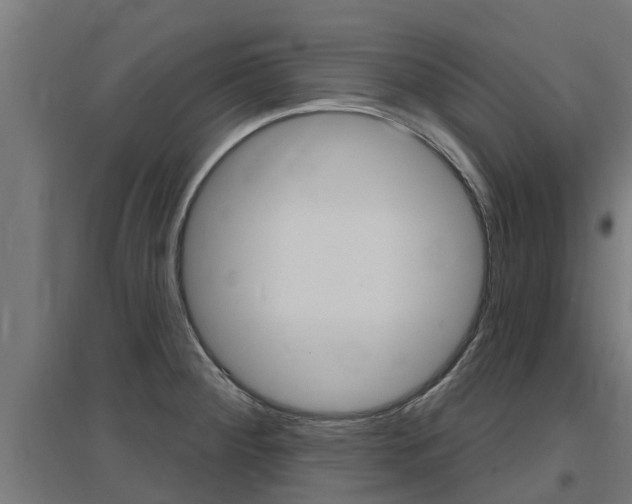 X0000097631284200802290835