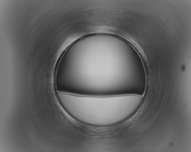 X0000097631285200802290835