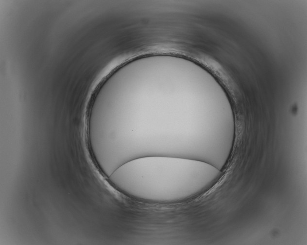 X0000097631286200802290835