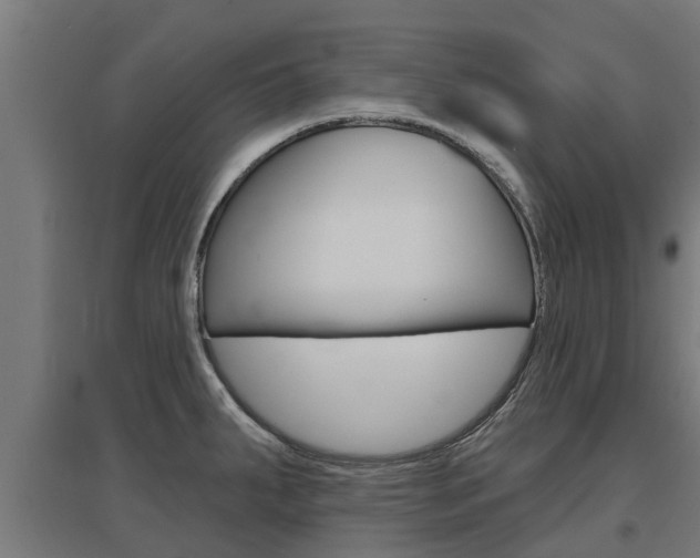 X0000097631287200802290835