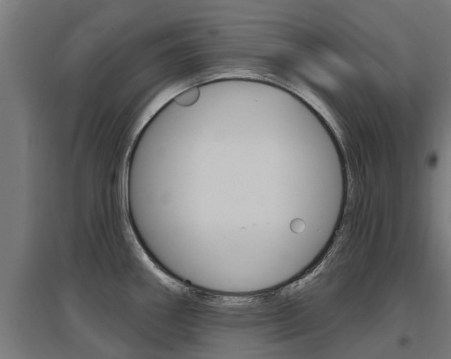 X0000097631290200802290835