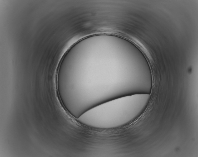 X0000097631291200802290835