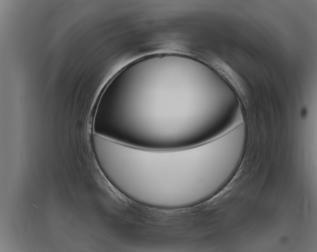 X0000097631292200802290835