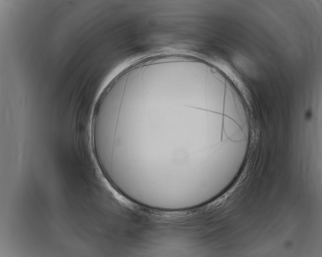 X0000097631294200802290835