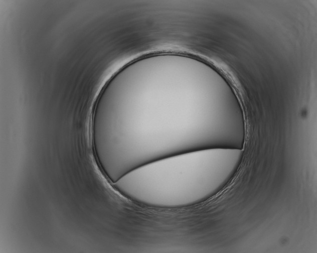 X0000097631295200802290835