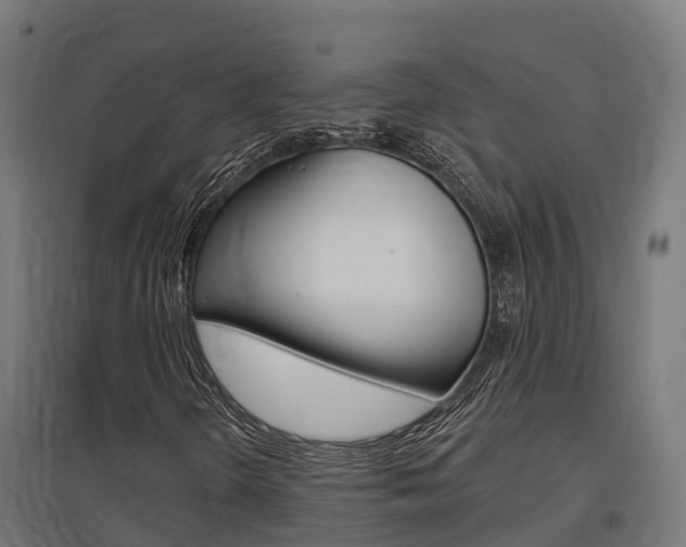 X0000097631298200802290834