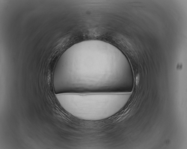 X0000097631299200802290834