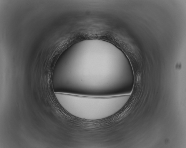 X0000097631300200802290834