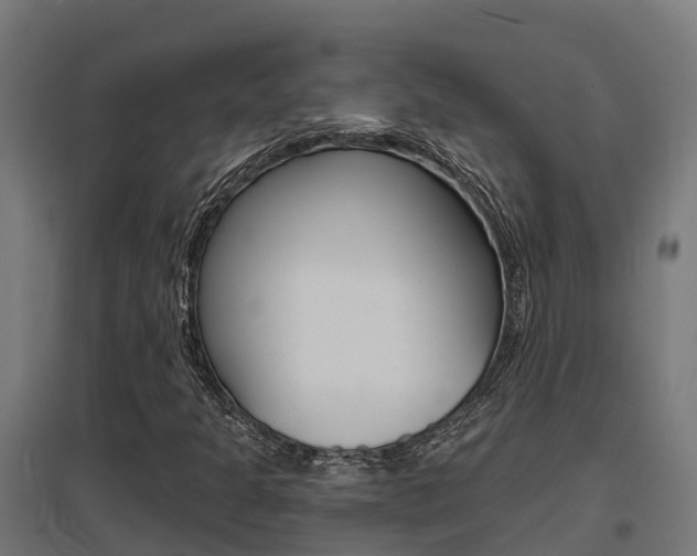 X0000097631301200802290834
