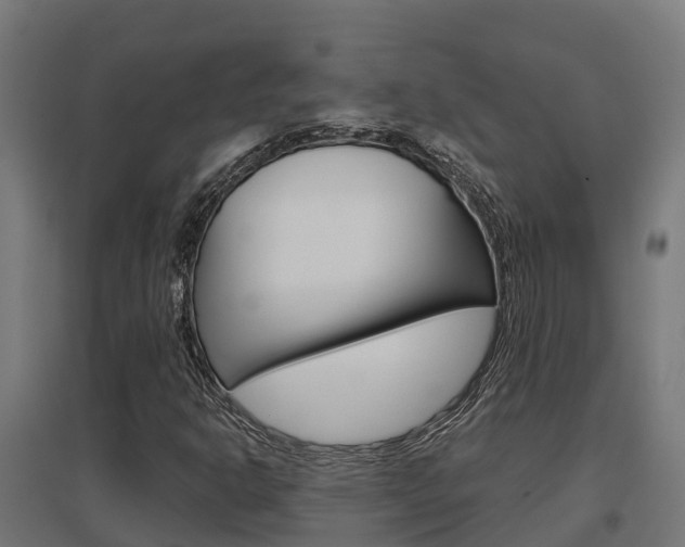 X0000097631302200802290834