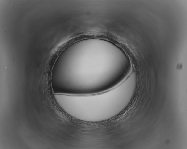 X0000097631304200802290834