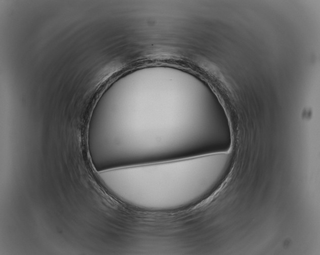 X0000097631305200802290834
