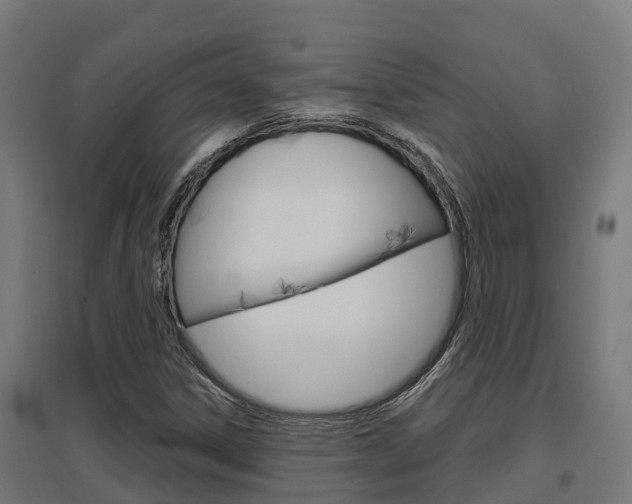 X0000097631306200802290834