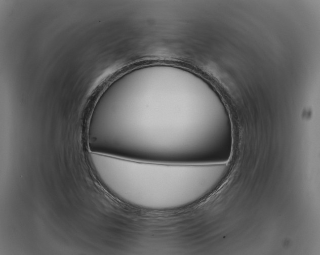 X0000097631307200802290834