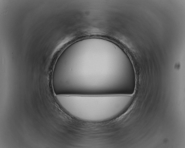 X0000097631309200802290834