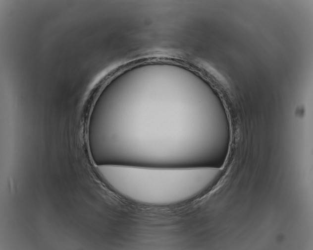 X0000097631310200802290834