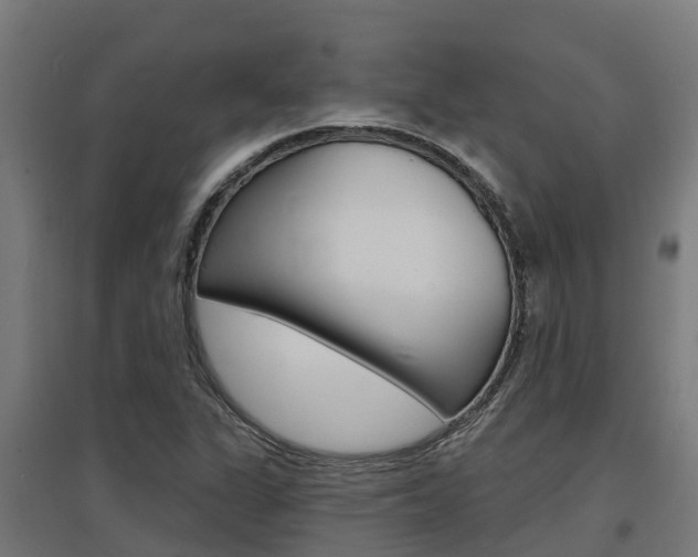 X0000097631311200802290834