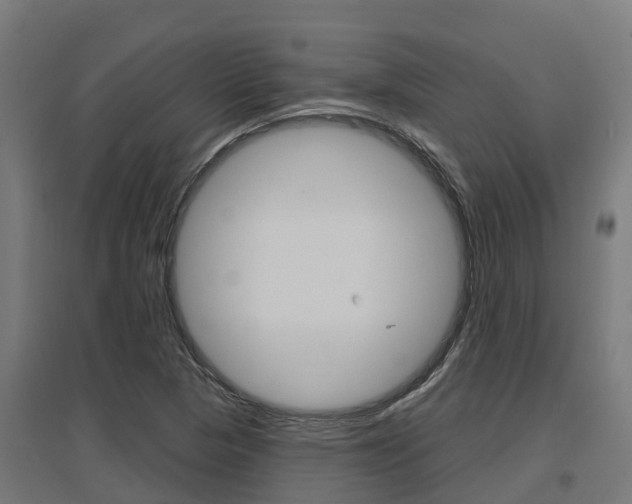 X0000097631313200802290834