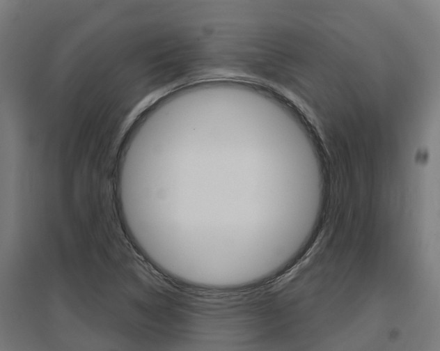 X0000097631314200802290834
