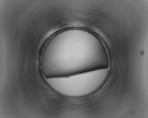 X0000097631315200802290834