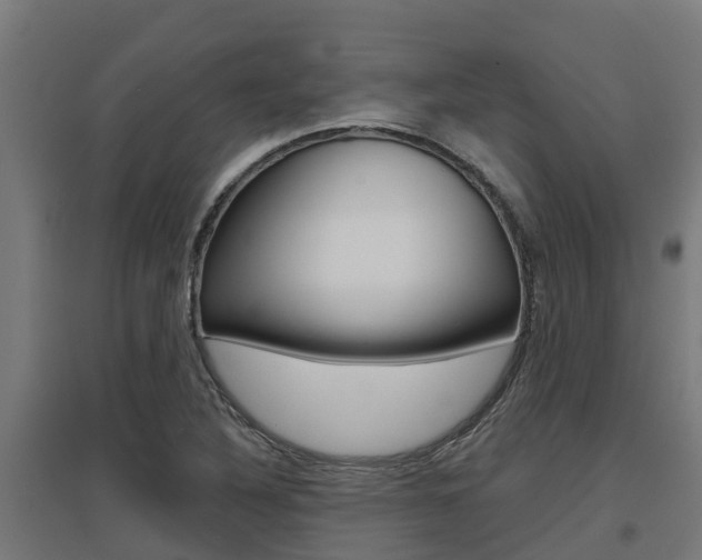 X0000097631316200802290834