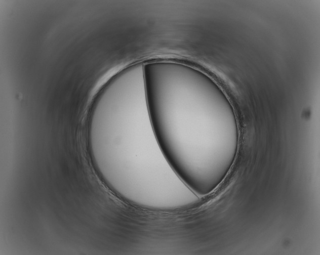 X0000097631317200802290834