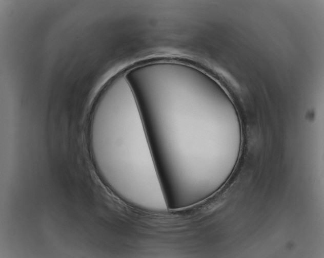 X0000097631318200802290834