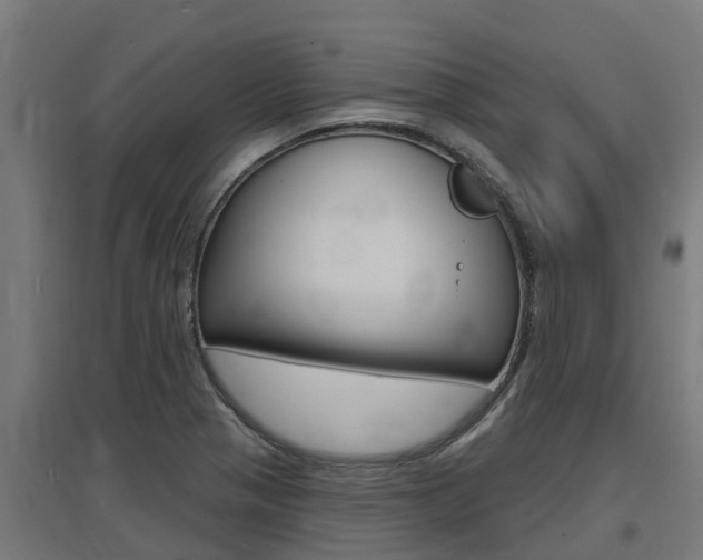 X0000097631321200802290834