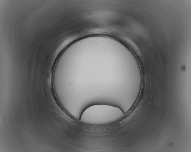 X0000097631322200802290834