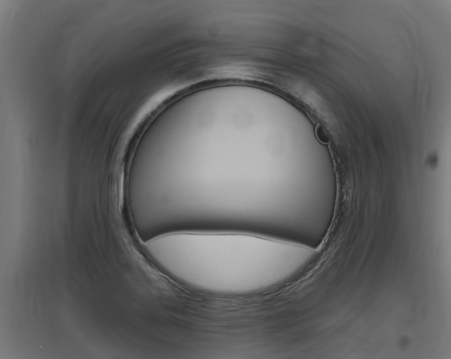 X0000097631323200802290834