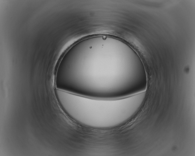 X0000097631324200802290834