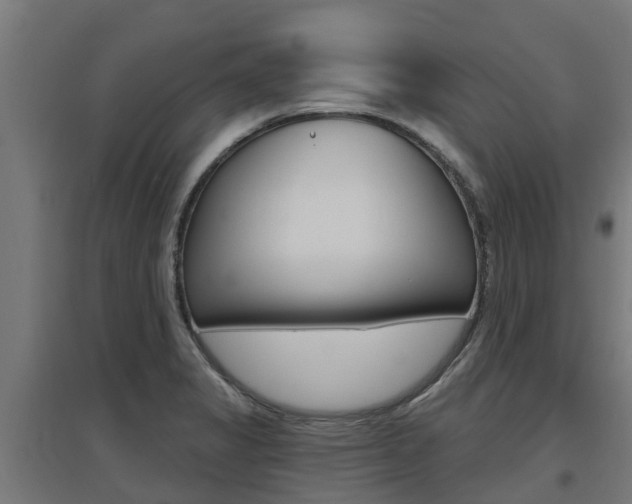 X0000097631325200802290834