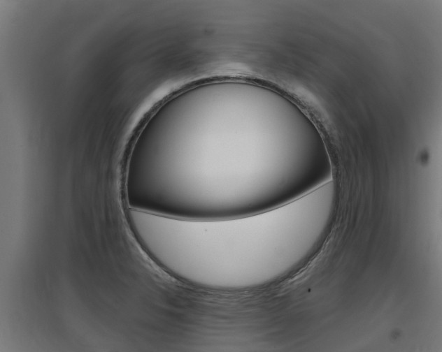 X0000097631326200802290834