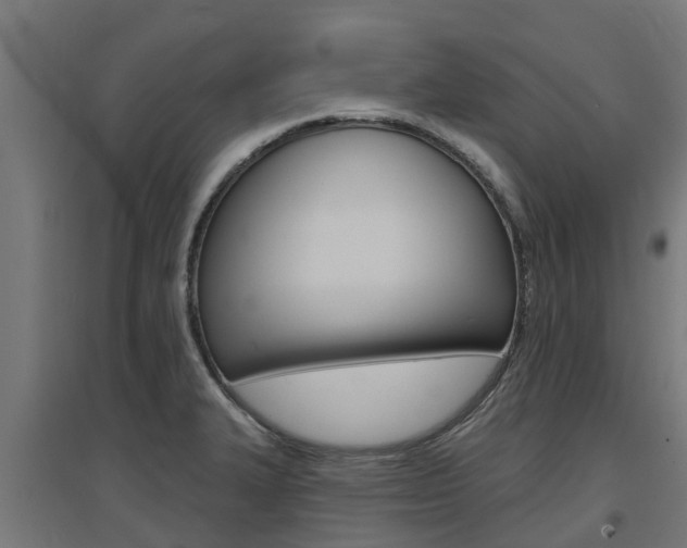 X0000097631327200802290834