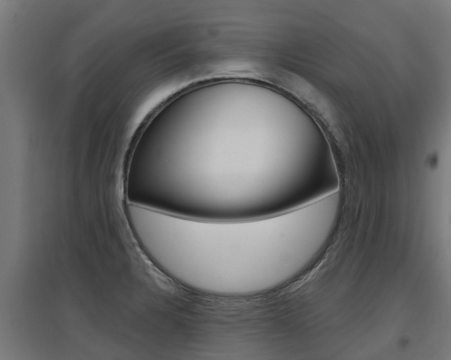 X0000097631328200802290835