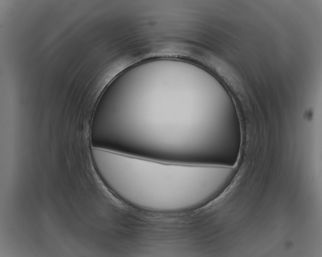 X0000097631329200802290835