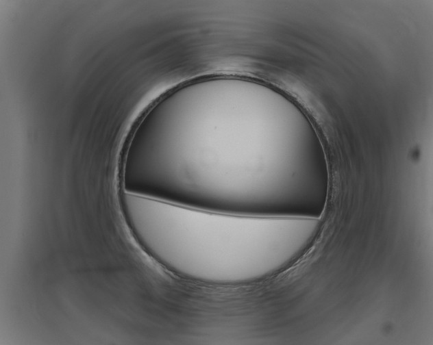 X0000097631331200802290835