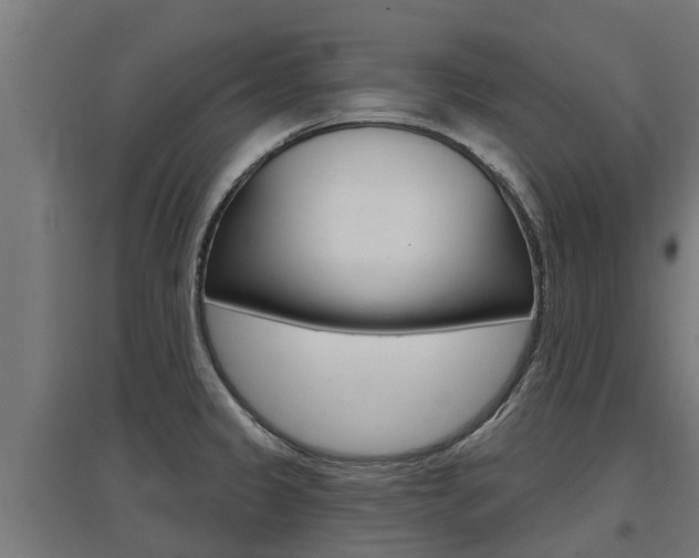 X0000097631333200802290835