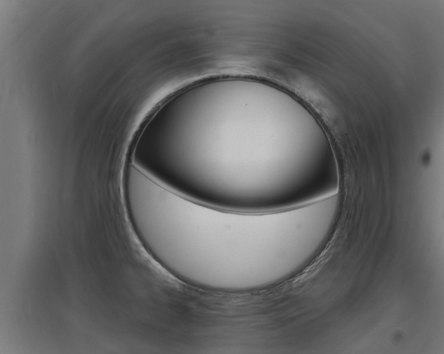 X0000097631334200802290835