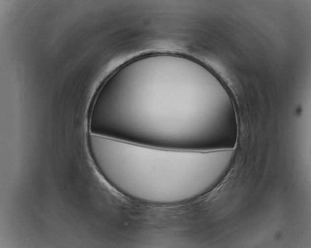 X0000097631335200802290835